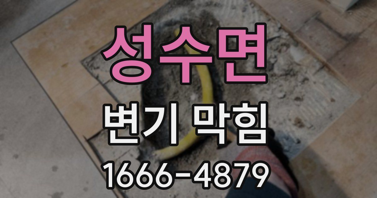 성수면 변기 막힘