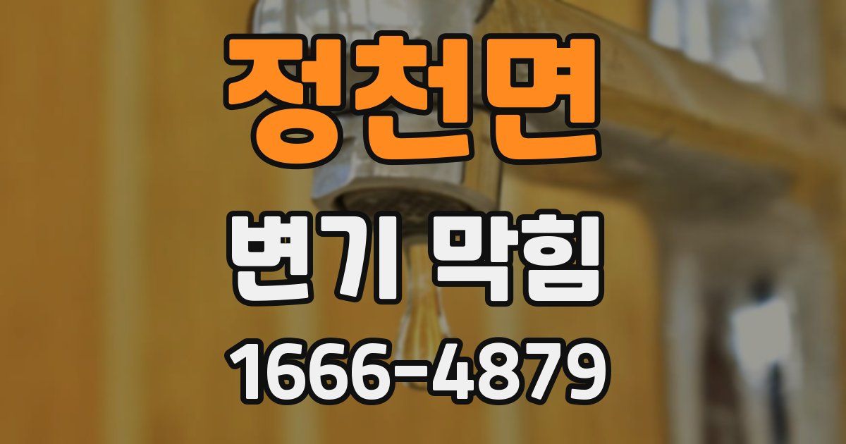 정천면 변기 막힘