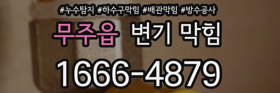무주읍 변기 막힘