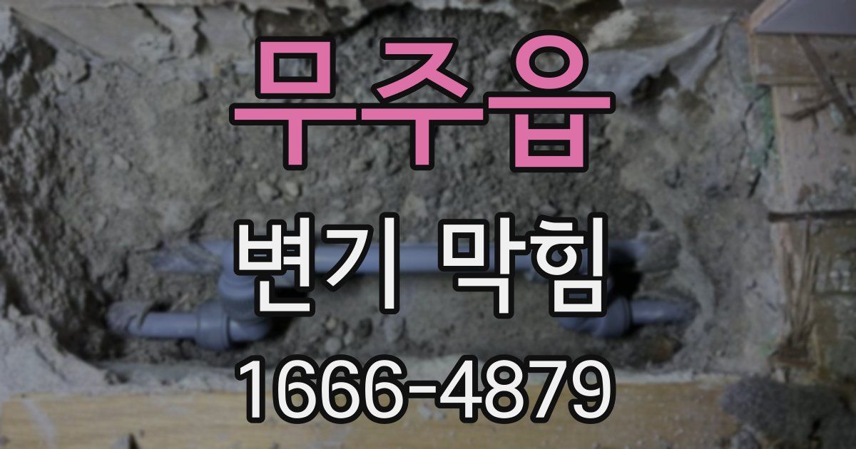 무주읍 변기 막힘