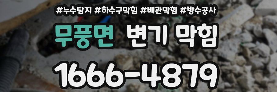 무풍면 변기 막힘