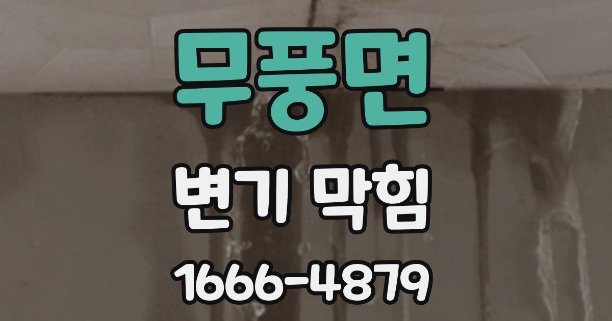 무풍면 변기 막힘