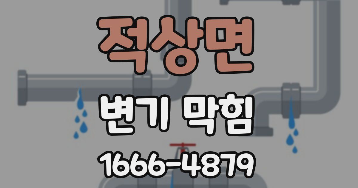 적상면 변기 막힘