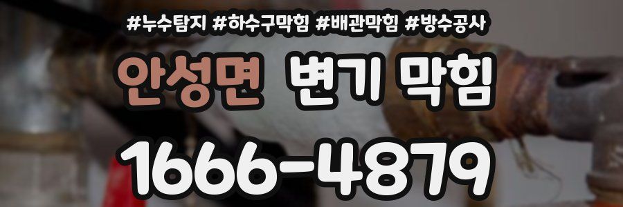 안성면 변기 막힘