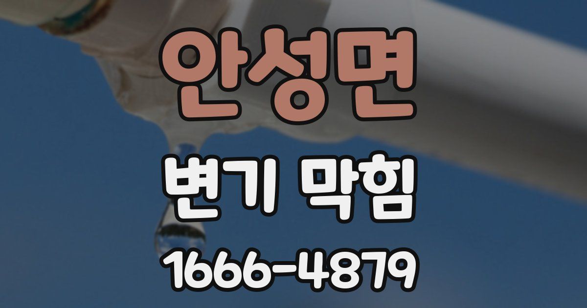 안성면 변기 막힘