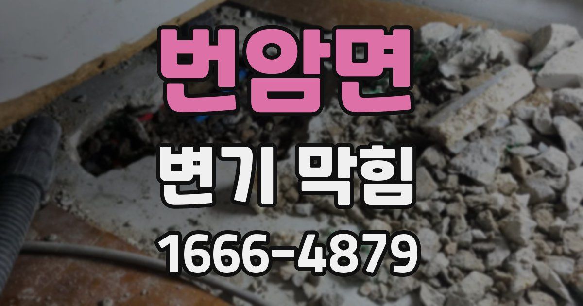 번암면 변기 막힘