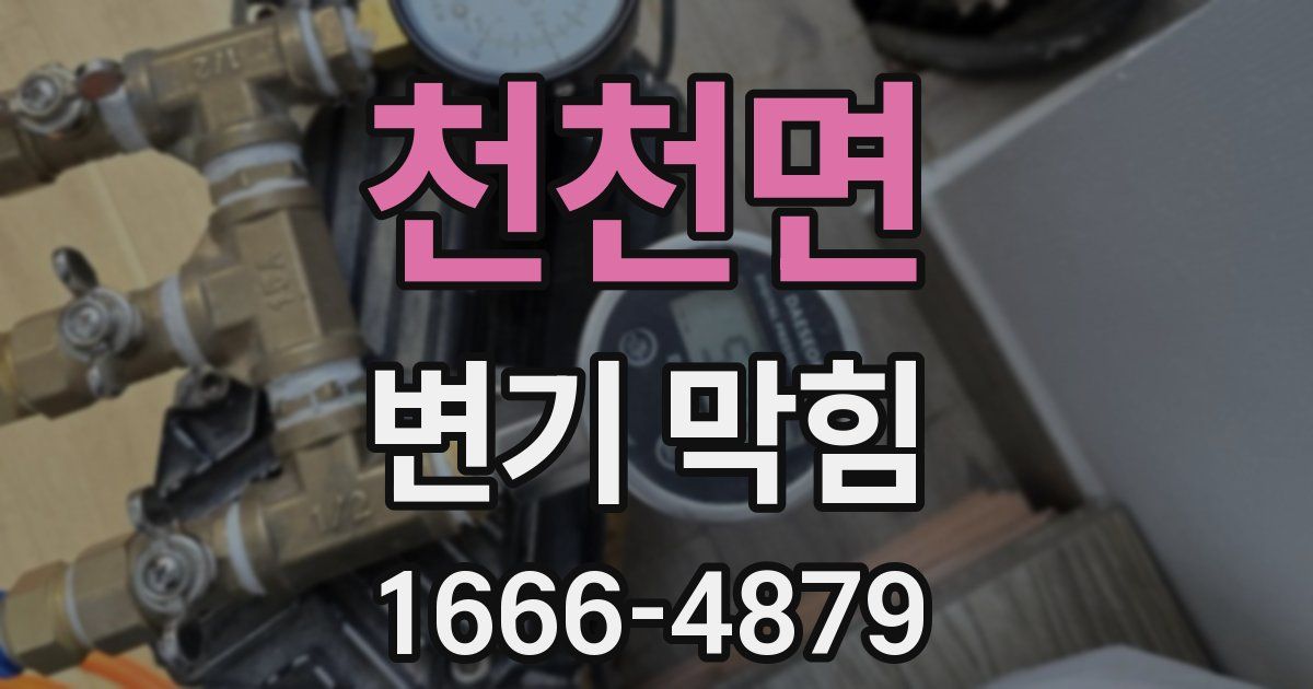 천천면 변기 막힘