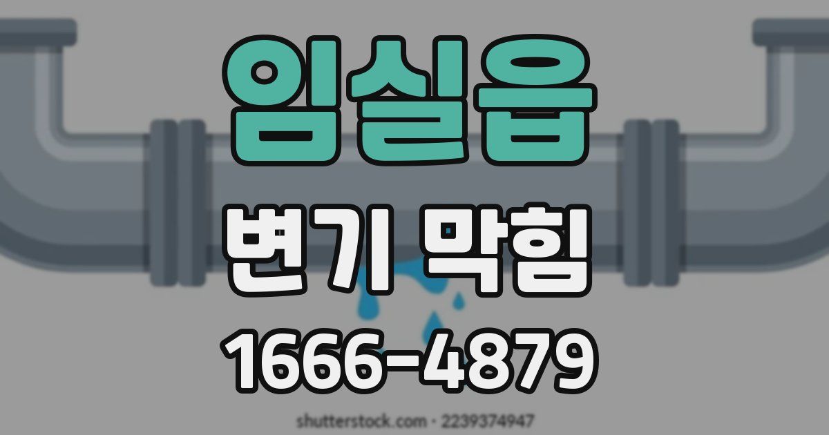 임실읍 변기 막힘