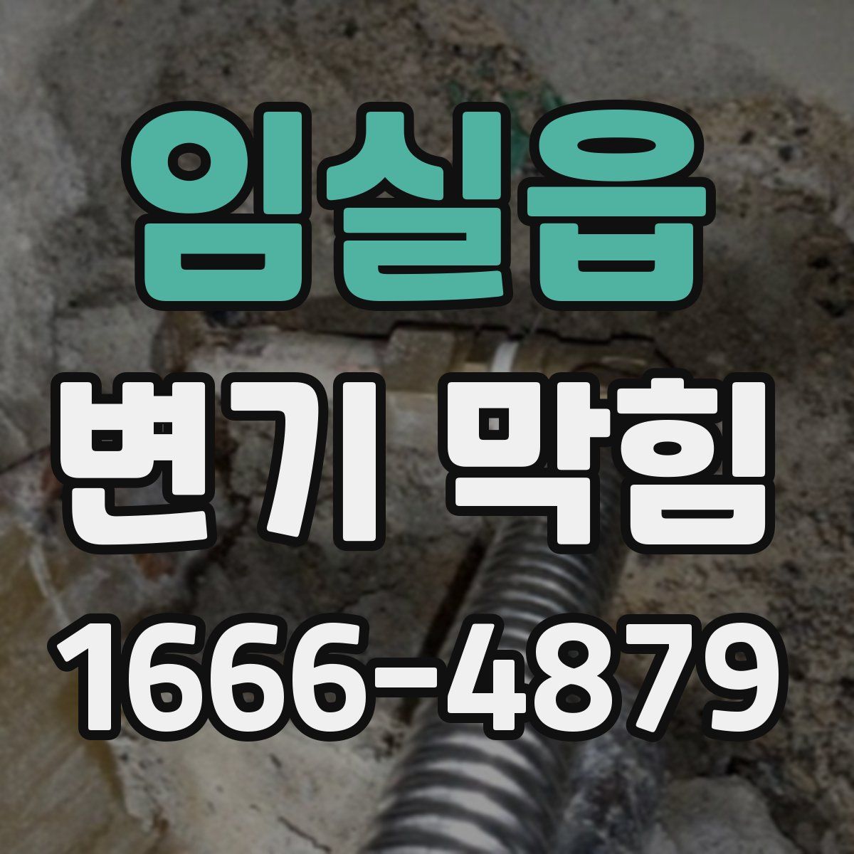 임실읍 변기 막힘