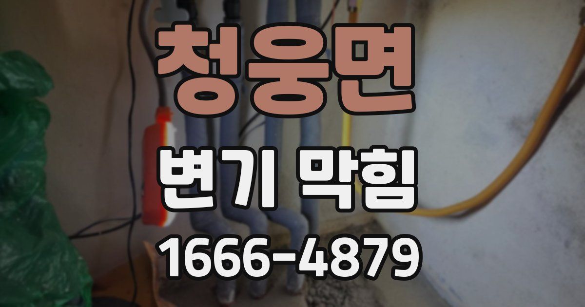 청웅면 변기 막힘