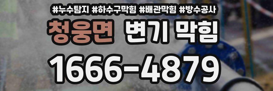 청웅면 변기 막힘