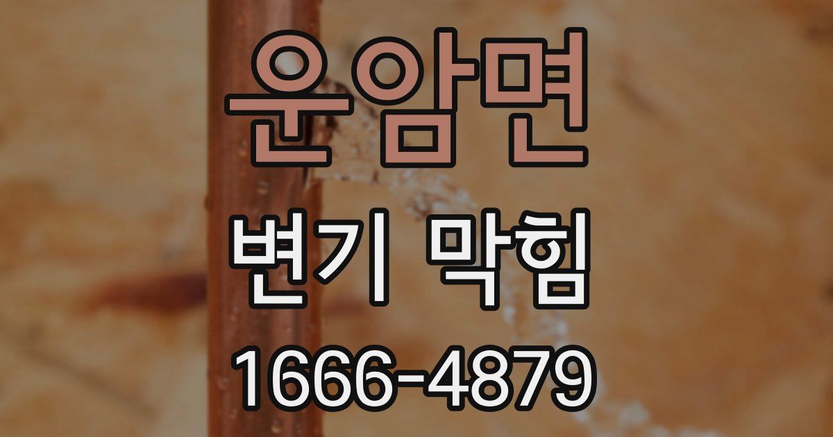 운암면 변기 막힘