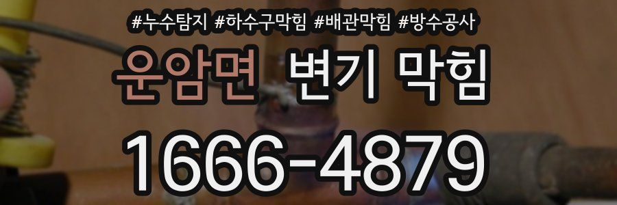 운암면 변기 막힘