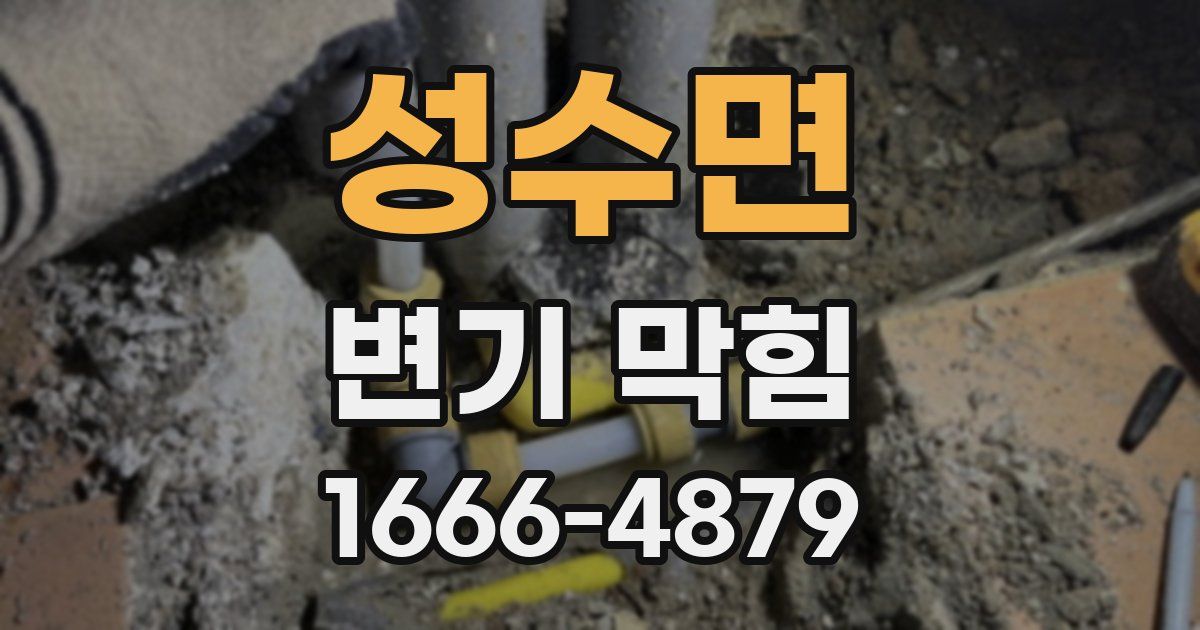 성수면 변기 막힘