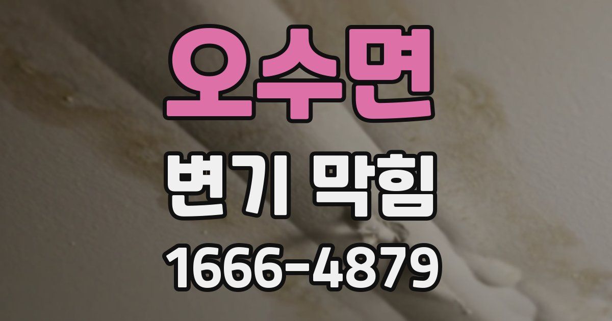 오수면 변기 막힘