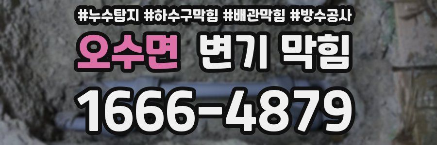 오수면 변기 막힘