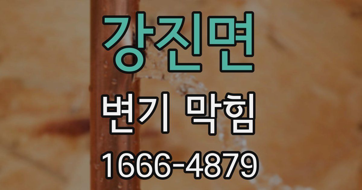 강진면 변기 막힘