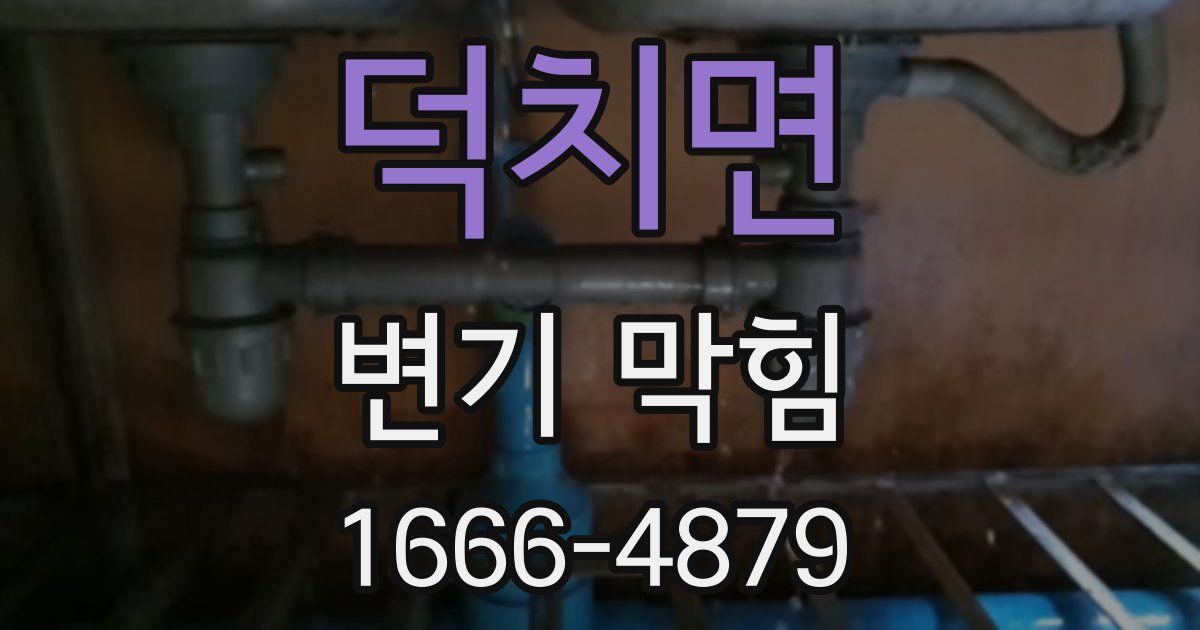 덕치면 변기 막힘