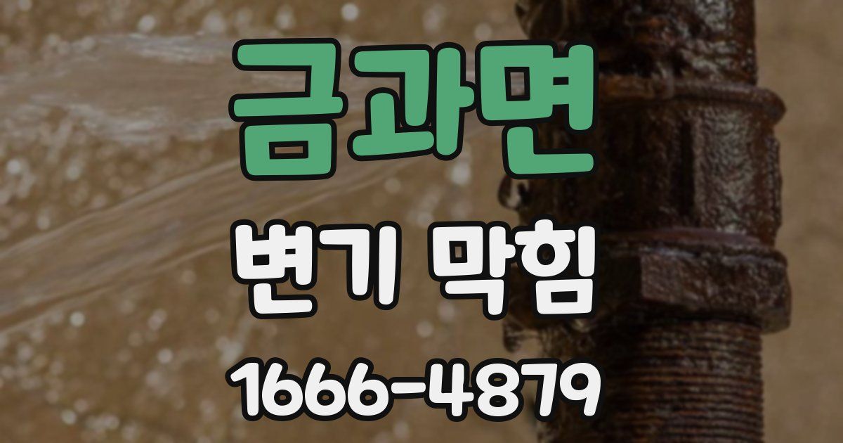 금과면 변기 막힘