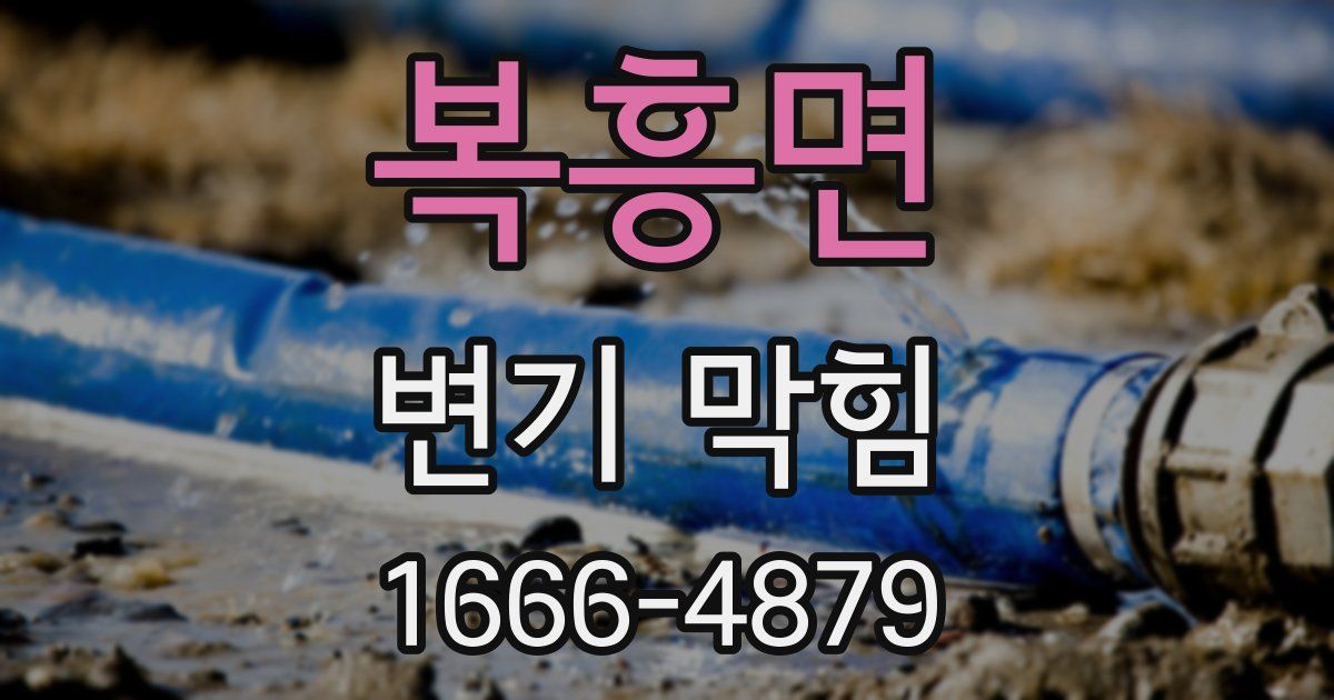 복흥면 변기 막힘