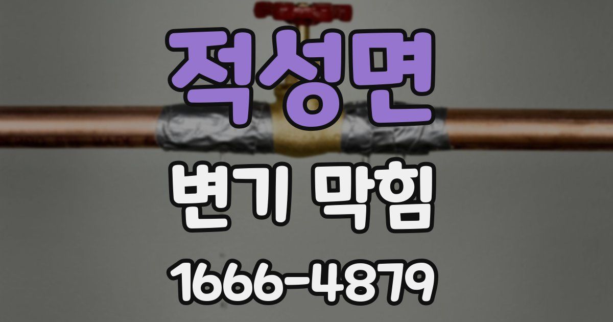 적성면 변기 막힘