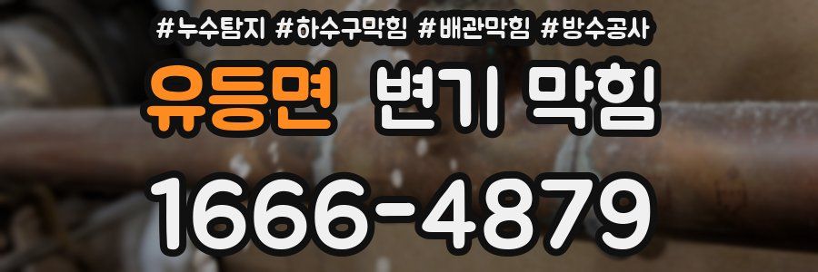 유등면 변기 막힘