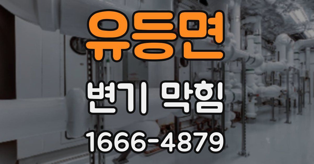 유등면 변기 막힘