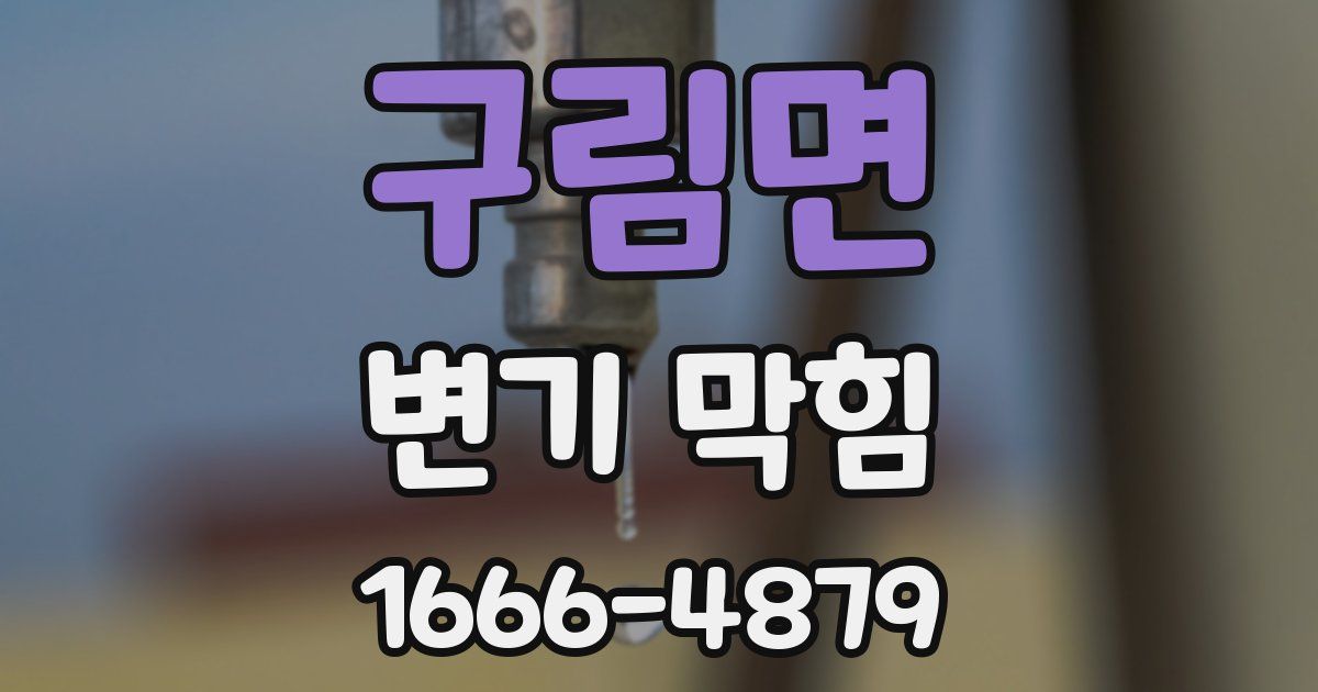 구림면 변기 막힘