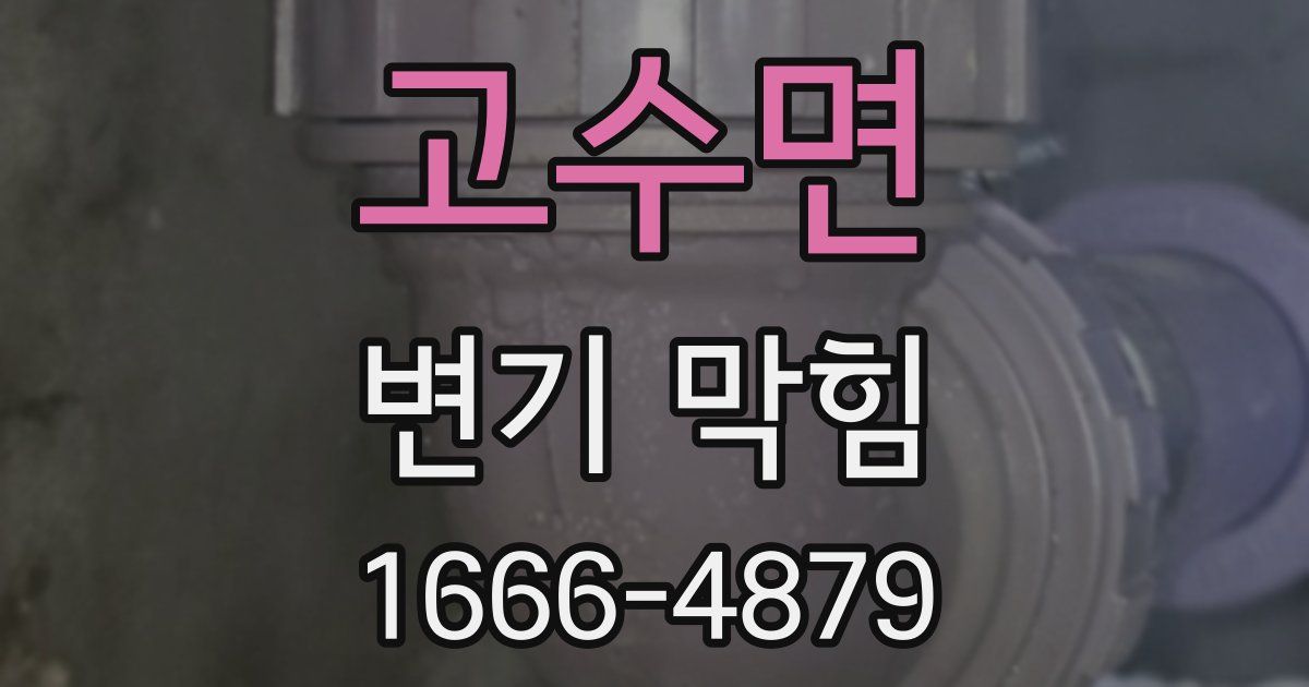 고수면 변기 막힘