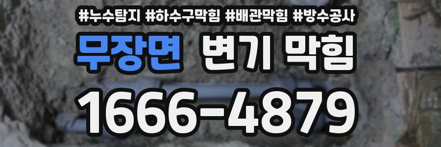 무장면 변기 막힘