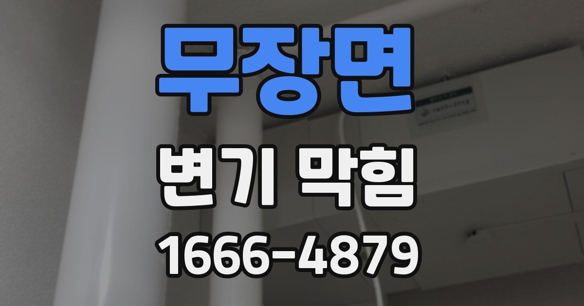 무장면 변기 막힘