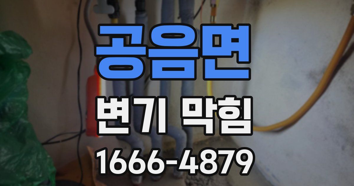 공음면 변기 막힘