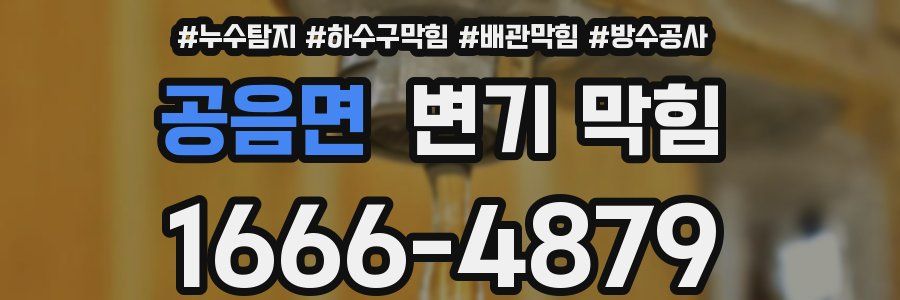 공음면 변기 막힘