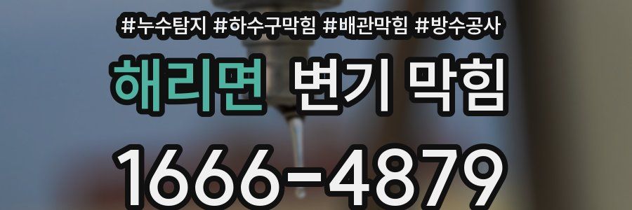 해리면 변기 막힘