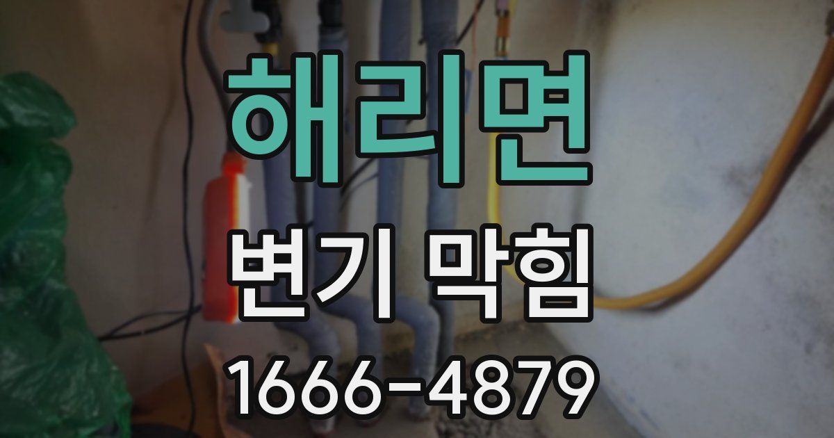 해리면 변기 막힘