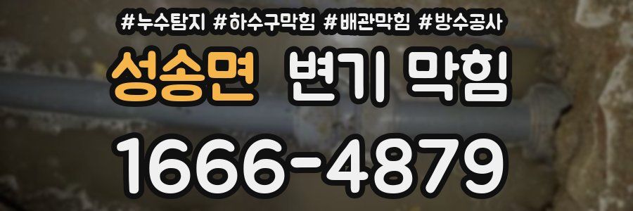 성송면 변기 막힘