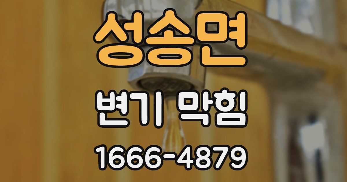 성송면 변기 막힘