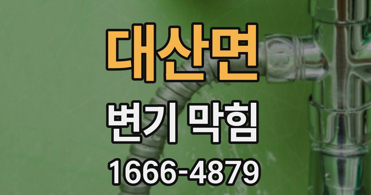 대산면 변기 막힘