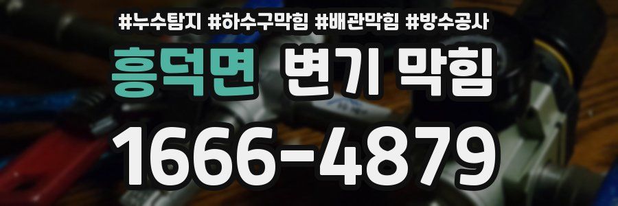 흥덕면 변기 막힘