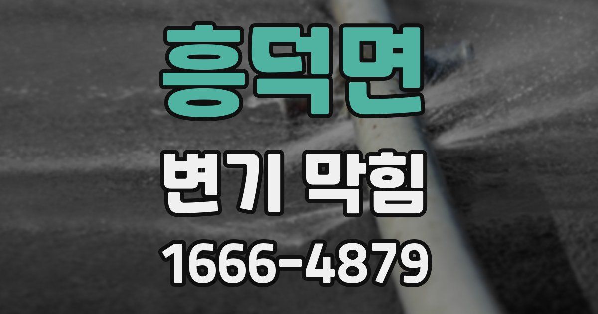 흥덕면 변기 막힘