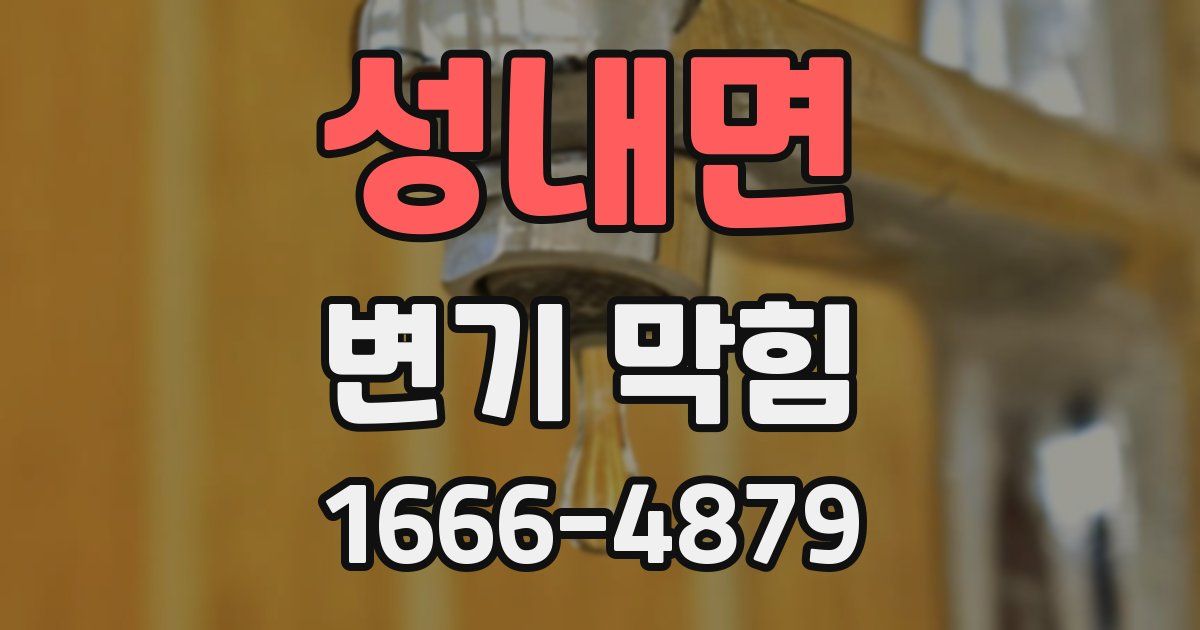 성내면 변기 막힘