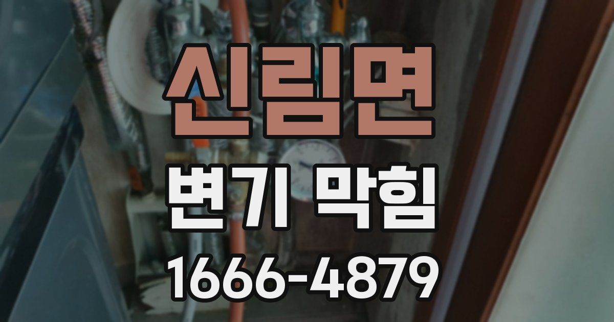 신림면 변기 막힘