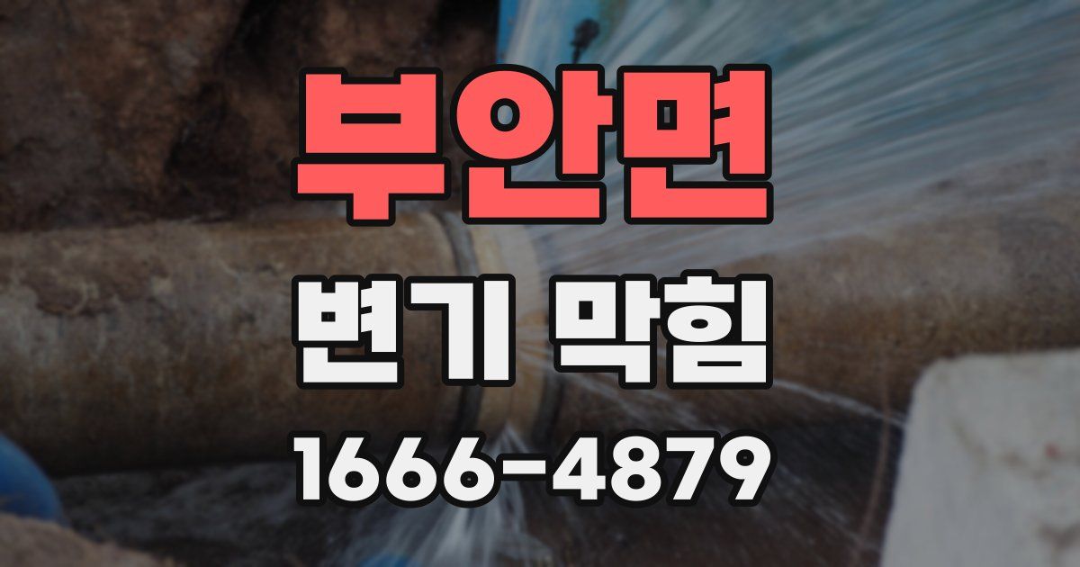 부안면 변기 막힘