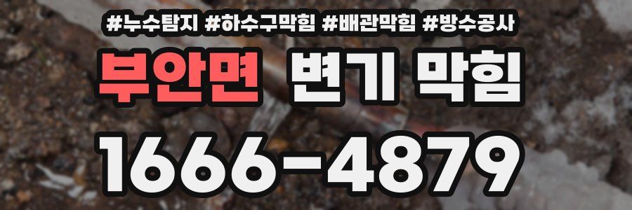 부안면 변기 막힘