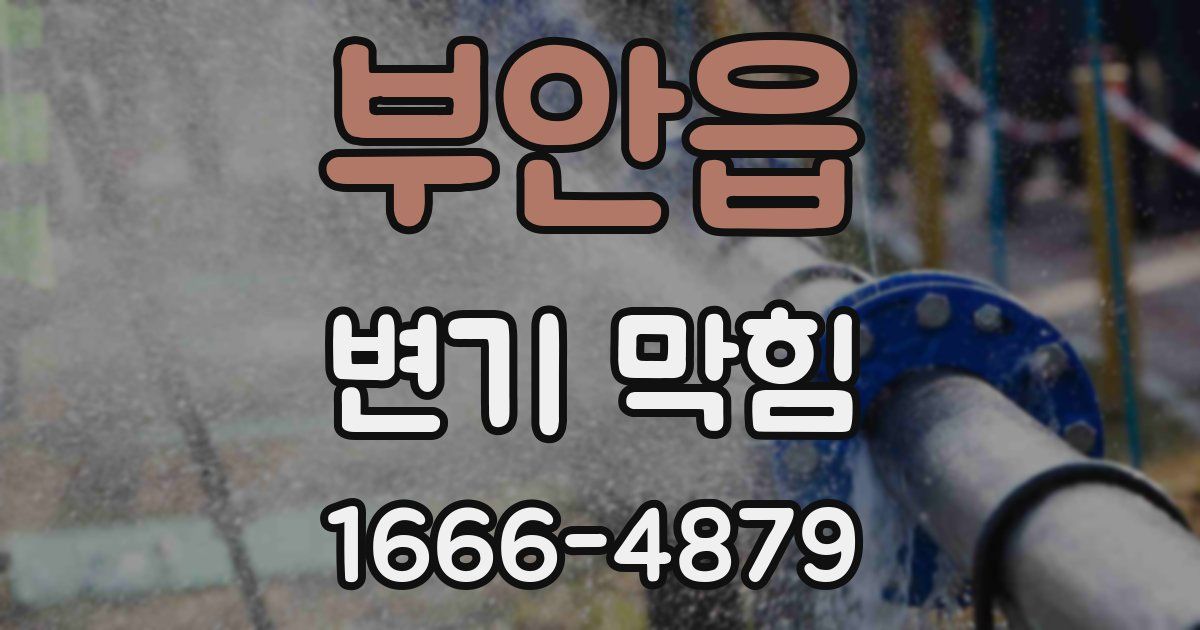 부안읍 변기 막힘