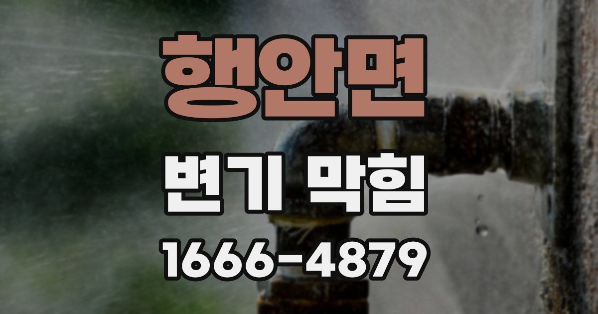행안면 변기 막힘