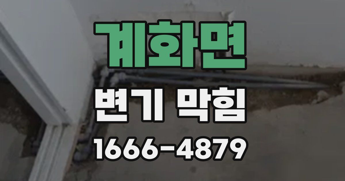 계화면 변기 막힘