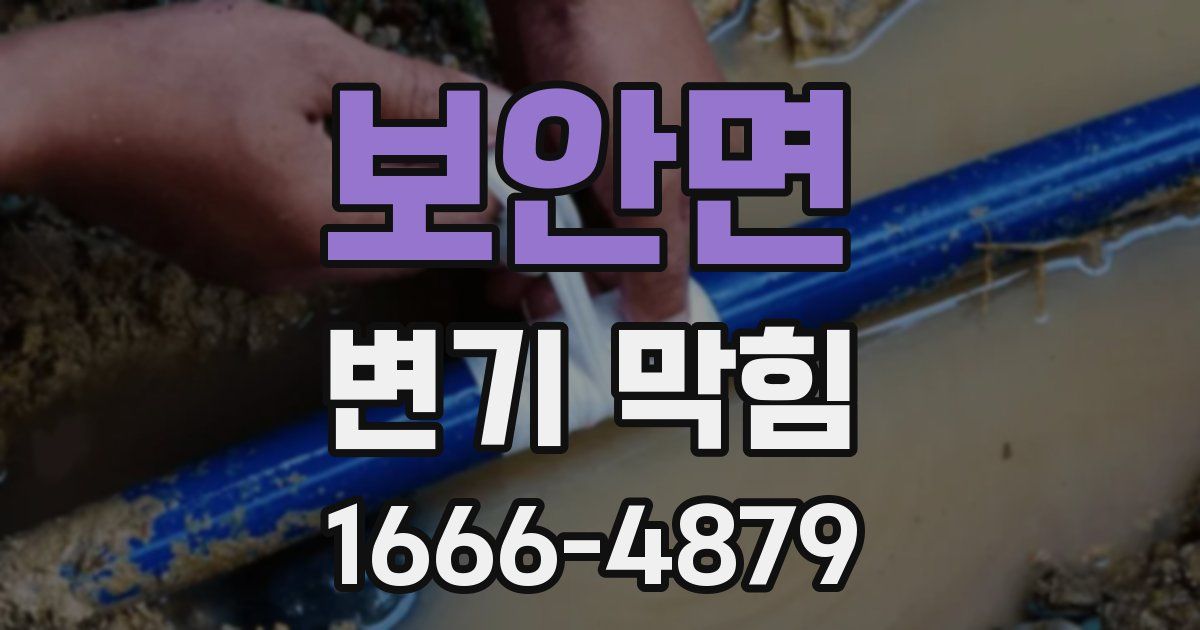 보안면 변기 막힘