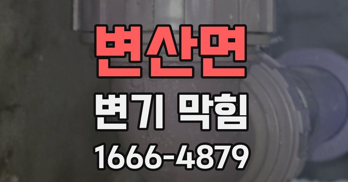 변산면 변기 막힘