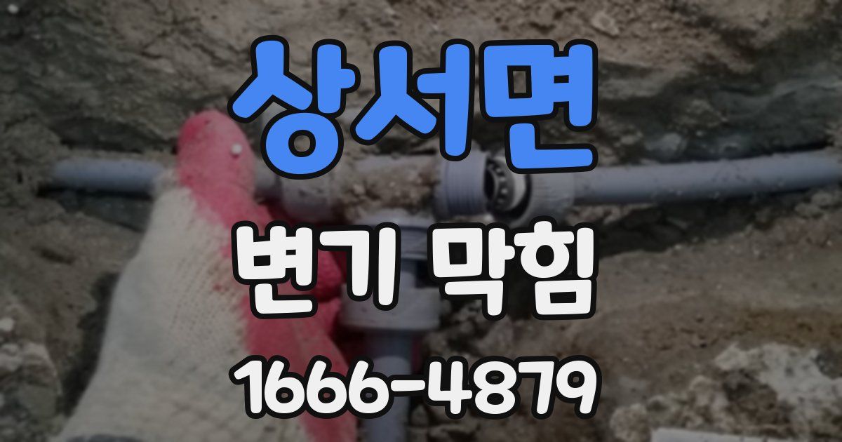 상서면 변기 막힘